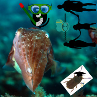 Episode 250: Cute Critters and CRISPR babies