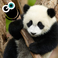 Episode 164: ​​Beer Goggles – Evolution Edition!