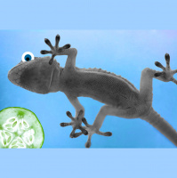 Episode 57: Geckos Optional