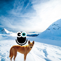 Episode 231: Life and neutrinos