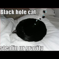 Episode 58: Black hole cats