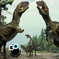 Episode 163: Rocks and Bonks