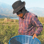 Horizontes De Amistad