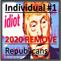 Individual 1 AKA Donald J Trump AKA FAKE BABY BONE SPUR AKA DON THE CON!