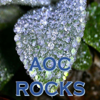 KKK Rep. Paul Gosar AFRAID OF AOC, GOT TO ATTACK FROM BEHIND on TWITTER! SAD SO SAD LOVE!