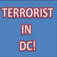DONALD J TRUMP IS A TERRORIST LEADER! NO GRAY! @REALDONALDTRUMP #REPUBLICANS