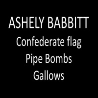 Who shot Ashley Babbitt, NO! WHO SENT HER TO HANG MIKE PENCE????