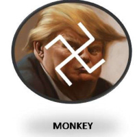 FAKE WHITE PEOPLE ARE trump AND NEO-NAZI