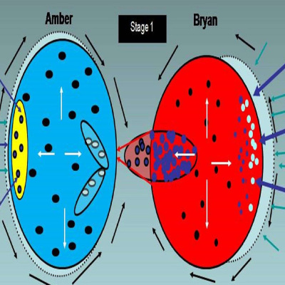 Super Professors Podcast