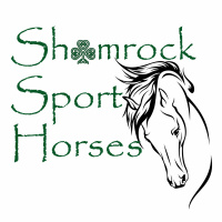 Shamrock Sport Horses Welcome