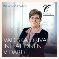 Vad ska driva inflationen vidare?