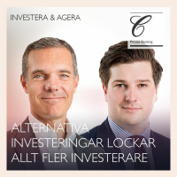 Alternativa investeringar lockar allt fler investerare