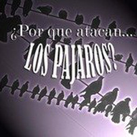 Por Qué Atacan Los Pájaros. PROMO PRESENTACIÓN