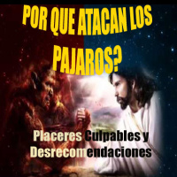 EP 11. Placeres Culpables Y Desrecomendaciones.