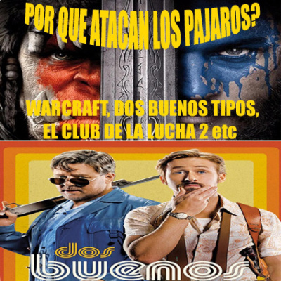 Por Qué Atacan Los Pajaros