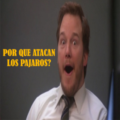 Por Qué Atacan Los Pajaros