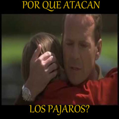 Por Qué Atacan Los Pajaros