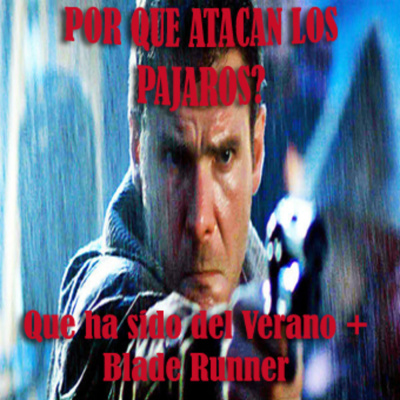 Por Qué Atacan Los Pajaros