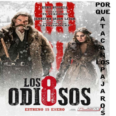 Por Qué Atacan Los Pajaros