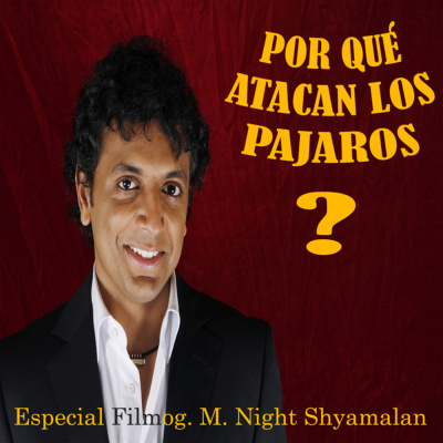 Por Qué Atacan Los Pajaros