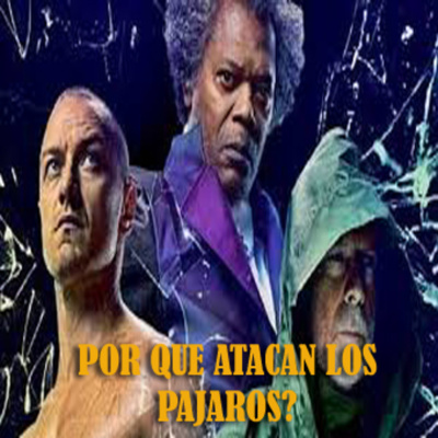 Por Qué Atacan Los Pajaros