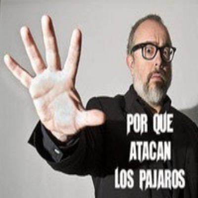 Por Qué Atacan Los Pajaros