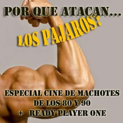 Por Qué Atacan Los Pajaros