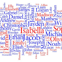 KTN: Julie Woik - The Life and Times of Lilly the Lash