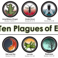 The 10 Plagues
