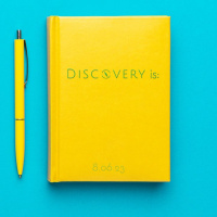 Discovery is Purposeful