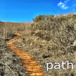 Path