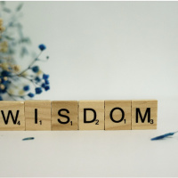 Proverbs chapter 11 part 2