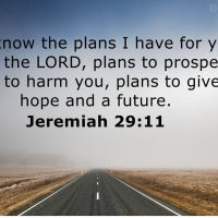 Jeremiah chapter 29