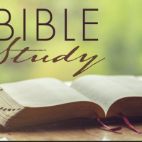 Job chapter 16 / Meg Adams!