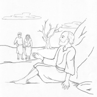 Job chapter 17 w/ James McDermott