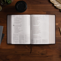 Psalm chapter 104 w/ Dale Moody!