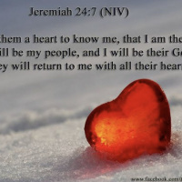 Jeremiah chapter 24 with Bud!