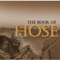 Hosea chapter 7 August 21st 2023 lap 1