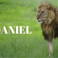 Daniel chapter 2 verse 31 August 1st 2023