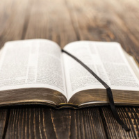 Psalm chapter 96 w/ Donny Shankle