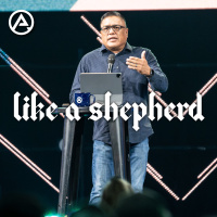 Like A Shepherd