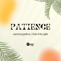 Enduring Patience // Summer Gardens // Andy Urteaga