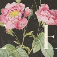 Redeemed// Pastor Roger Pethybridge