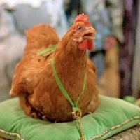 Episode 44a: Return To Oz Midway