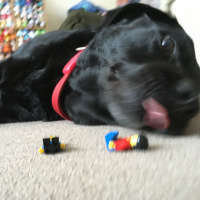 Episode 49a: KJDPod Outtakes