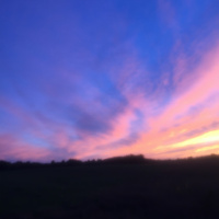 5 Quotes To Inspire Your Healthy 2017