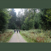 #133 Des Nachts unterwegs als Geocacher