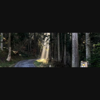 Der Schweizer Geocaching Podcast