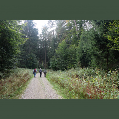 Der Schweizer Geocaching Podcast