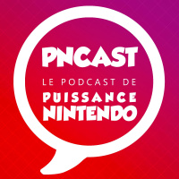 PN Cast n°4 - Le piratage et ses effets